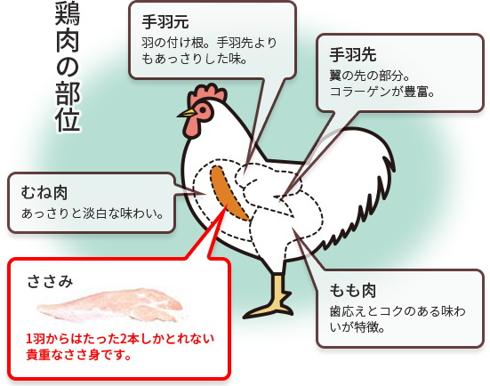 鶏肉の部位　むね肉　あっさりと淡白な味わい。ささ身　1羽からはたった2本しかとれない貴重なささ身です。手羽元　羽の付け根。手羽先よりもあっさりした味。手羽先　翼の先の部分。コラーゲンが豊富。もも肉　歯応えとコクのある味わいが特徴。